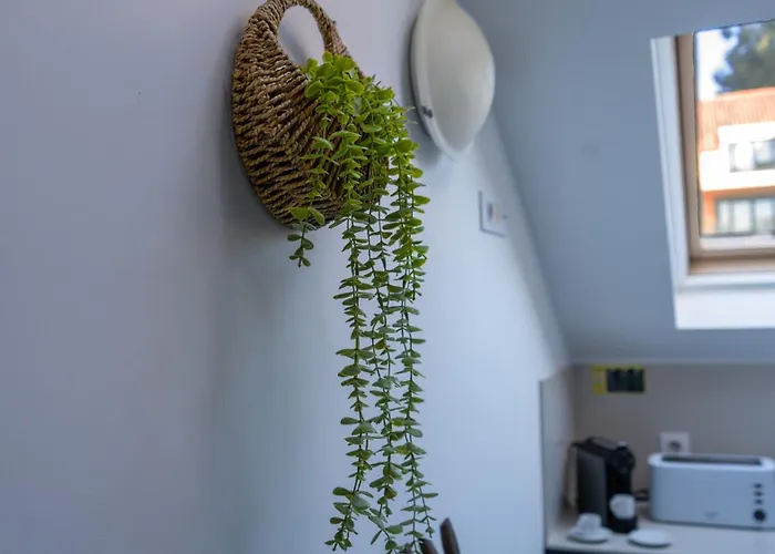 公寓 Eclipse Ii - Living By Lovelystay 丰沙尔