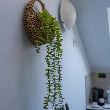 Apartamento Eclipse Ii - Living By Lovelystay Funchal (Madeira)